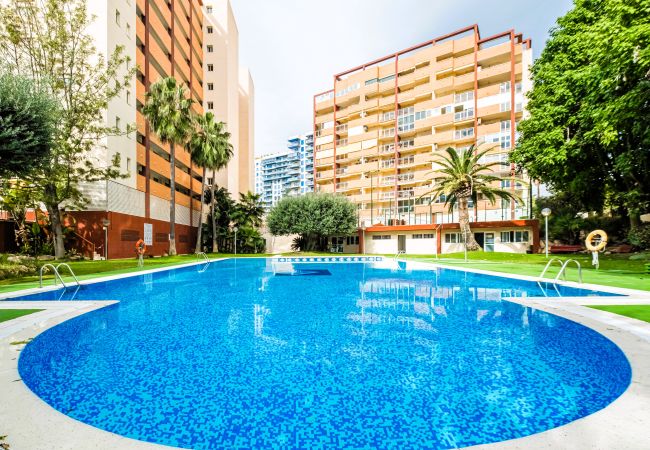 Apartamento en Villajoyosa - Cala Esmeralda 6-F Apartment Playa La Cala Beach