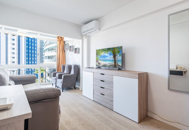  in Benidorm - Donna II 7-32 Apartment Levante Beach-Old Town