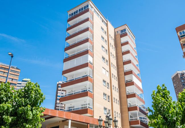  in Benidorm - Apartamentos Les Dunes Centro Levante Beach S.V