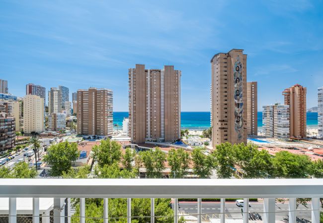  на Benidorm - Albatros 12-8 Sea Views Levante Beach